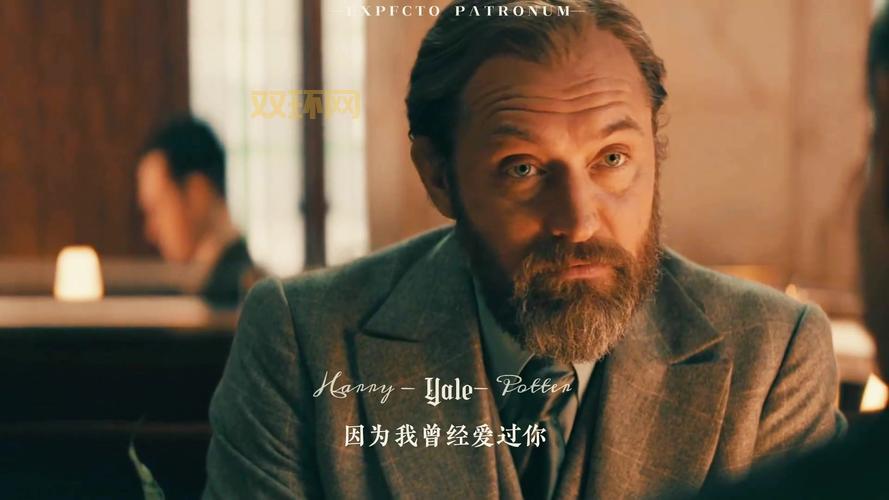 巫师战争精彩回顾：从哈利波特到黑魔王的决战