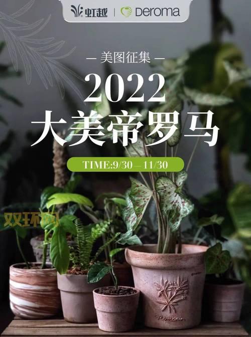 还在找罗马单机加强版破解2022?最新版本已上线!