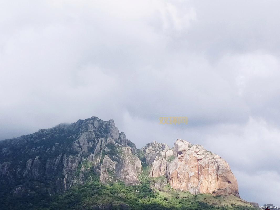 导游打一成语，答案揭晓：引人入胜