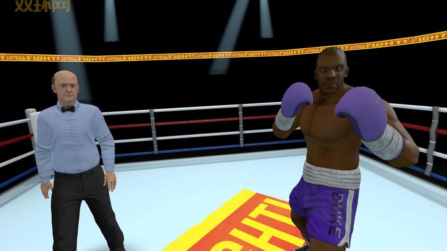 玩转3D拳击格斗游戏,体验拳拳到肉的真实打击感