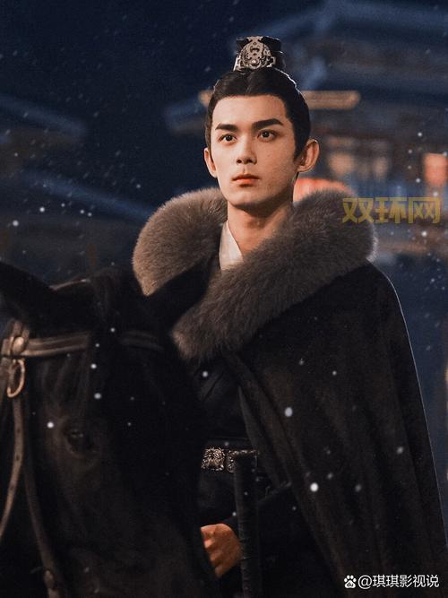 熙元记事:赤焰冷笔下的古代权力与情感纠葛