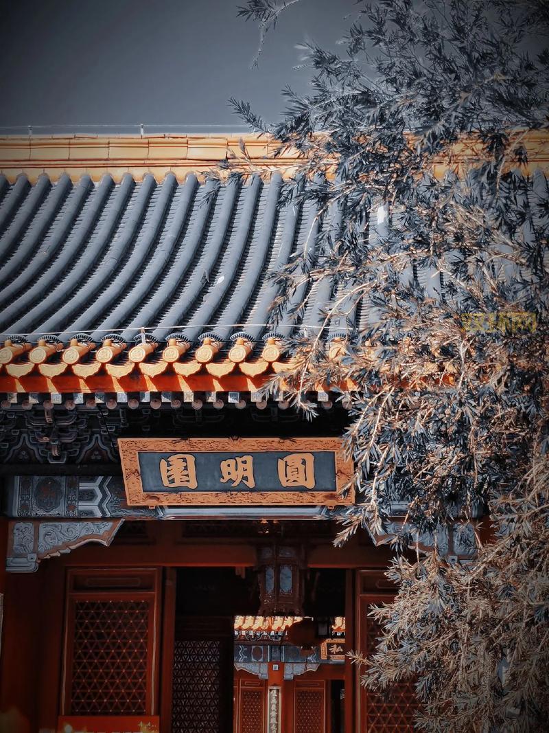 圆明园珍藏发布:揭秘“创世徽章”和“并蒂圆明”数字藏品