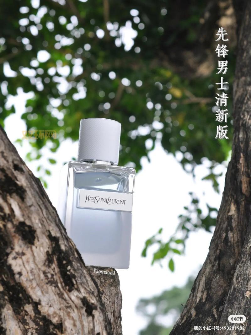 先锋男人资源库：为男性提供全方位生活与娱乐资源