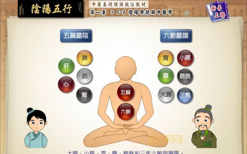 什么是五行八卦?深入了解古代哲学中的阴阳五行理论