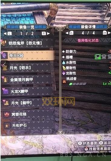 完整怪物猎人2攻略：从武器选择到怪物打法