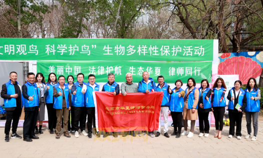 博尔特投资失利损失千万美元，律师称或采取法律行动