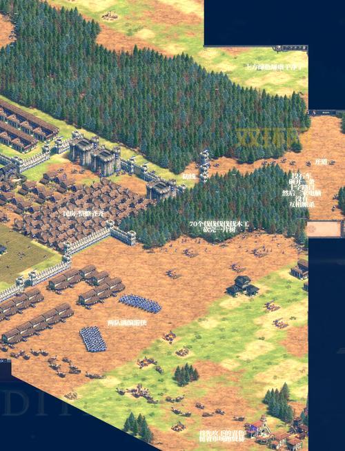帝国时代2秘籍有哪些？老玩家分享实战攻略！