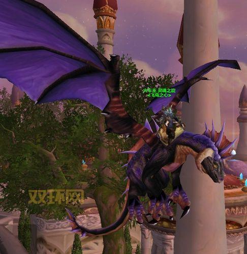 奥妮克希亚座龙缰绳速度怎么样？骑上它有多拉风！