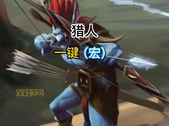 TBC怀旧服猎人实用宏大全，一键输出，解放双手！