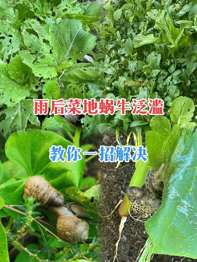 异地登录DNF安全模式挂几天能解除?教你一招解决