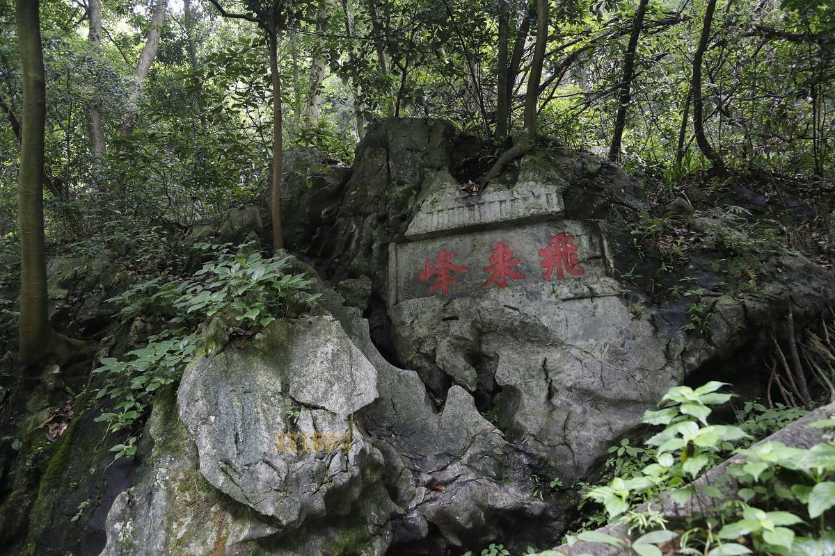 探索奇峰罗列的意思：山峰的神秘排列
