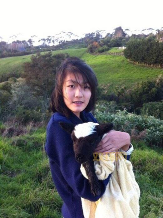 方芸：张子健背后的女人，知性与智慧的完美结合