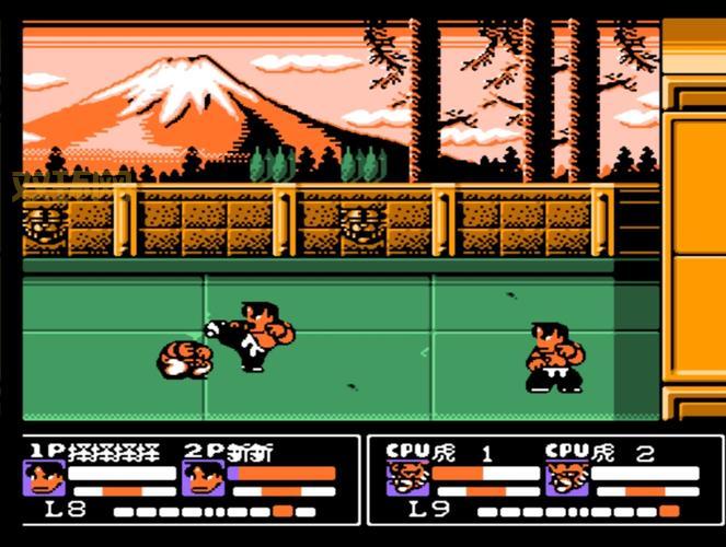 热血格斗老虎密码大揭秘，高手教你快速通关！