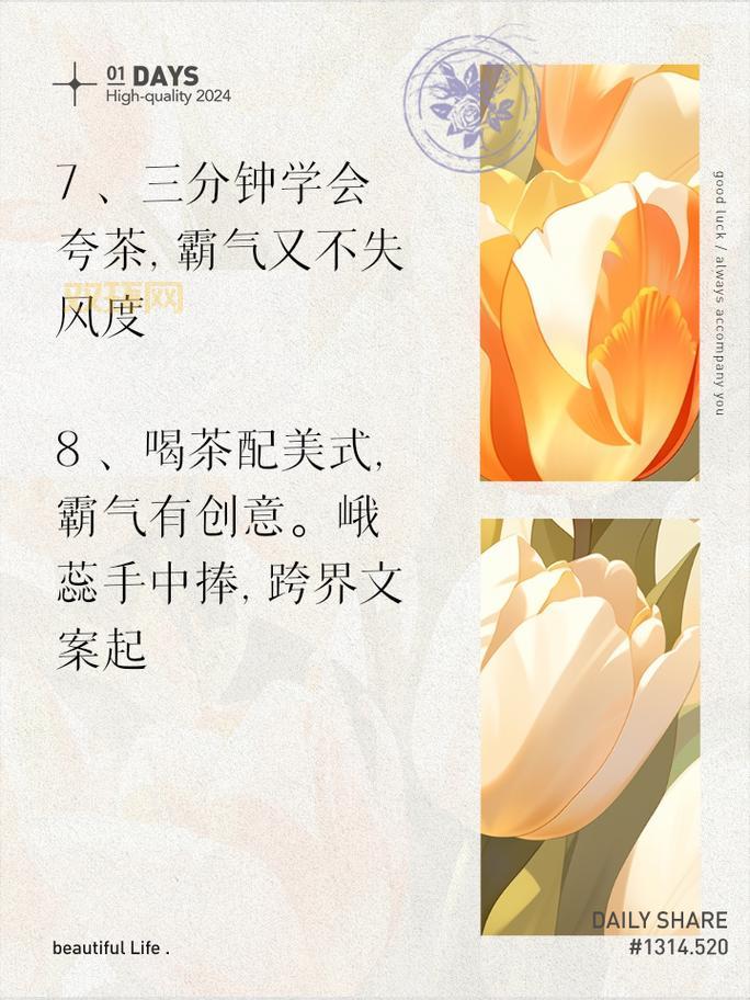 水煮三国：畅游历史与幽默的完美结合