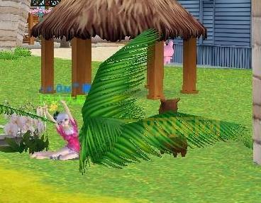 QQ炫舞神兽萌萌位置攻略:轻松找到萌宠