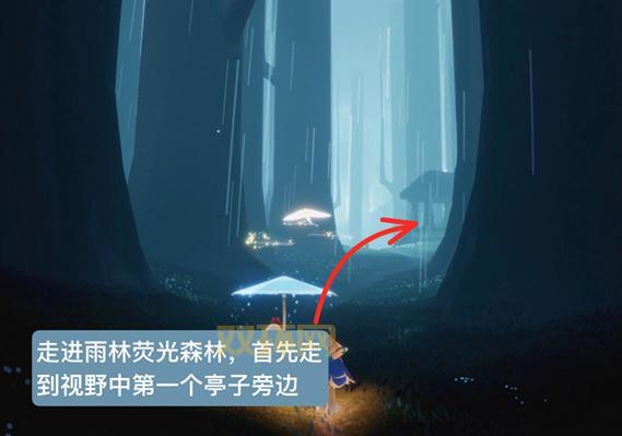 光遇雨林隐藏地图怎么进？详细步骤一看就懂！