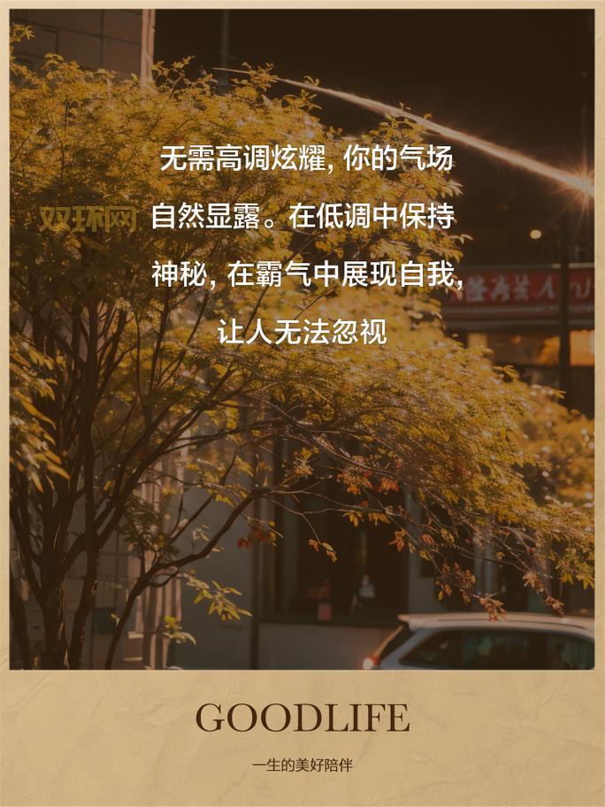 九阴真经锦衣卫详解：远攻群控尽显霸气