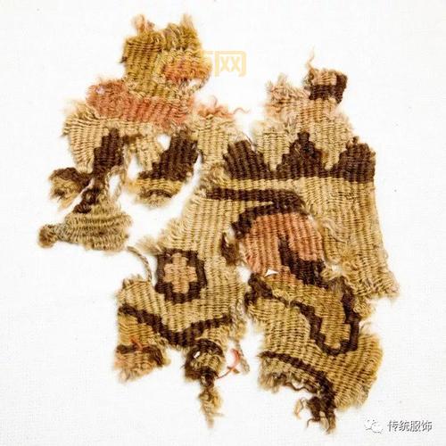 毛皮收集专家是啥？带你揭秘不为人知的毛皮任务！