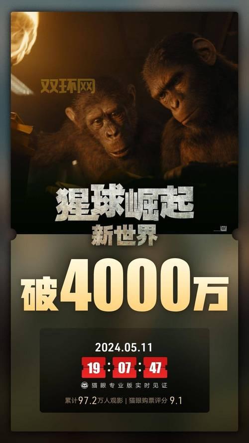 肥猪网：免费观看高清电影和电视剧，畅享VIP影视体验