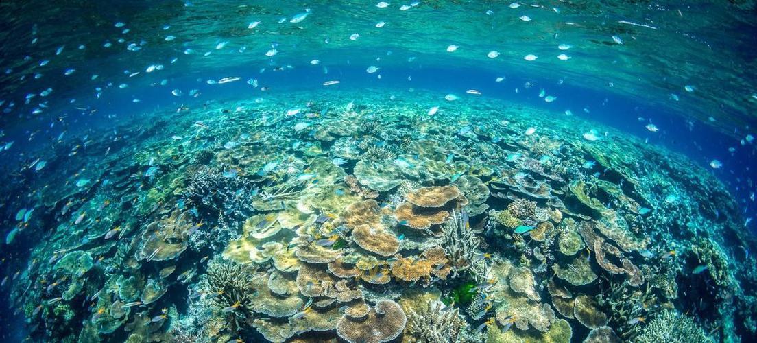 海洋生态系统揭秘:我国不包括的类型是池塘