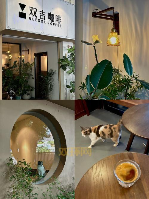 吉吉日夜撸评测：震动与舒适的完美结合