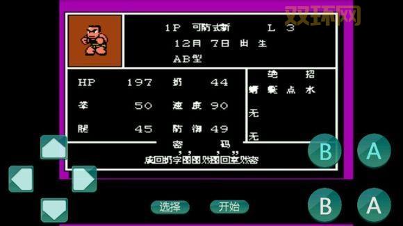 热血格斗传说中文版秘籍全攻略：技能、密码、隐藏要素揭秘