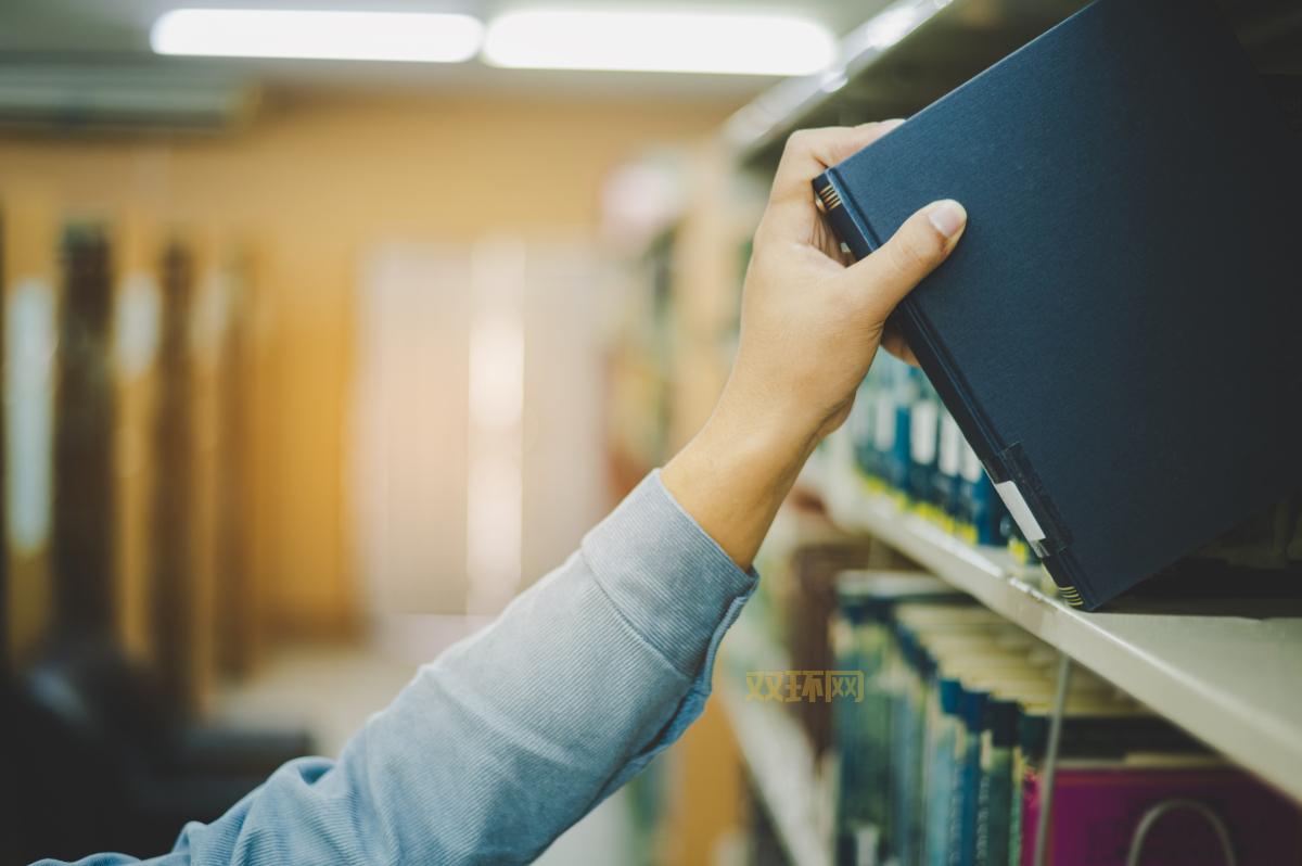 深入解析DOTA2传奇宝珠:获取方法与技能提升技巧