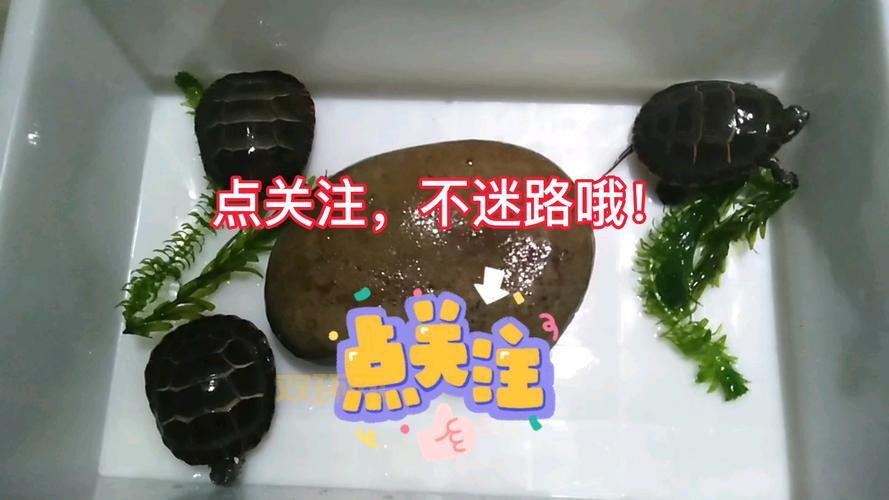 我的dnf账号违反协议被永久封停了,原因竟然是这个!