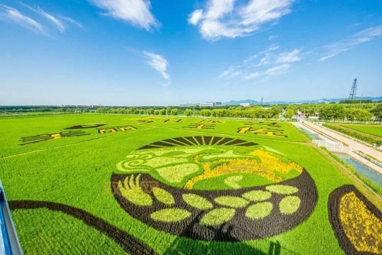 冬日吕梁山：氢风劲吹，绿色新动能