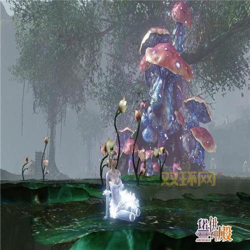 孢子下载官网打不开怎么办？快速解决方法看这里！