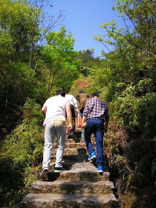 孢子下载官网打不开怎么办？快速解决方法看这里！