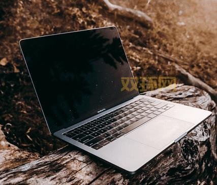 孢子下载官网打不开怎么办？快速解决方法看这里！