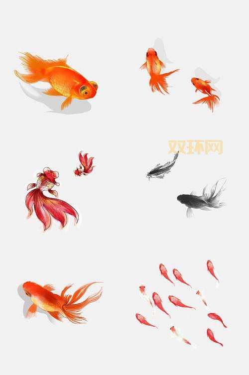 法师水元素冰环宏：轻松召唤与控制水元素