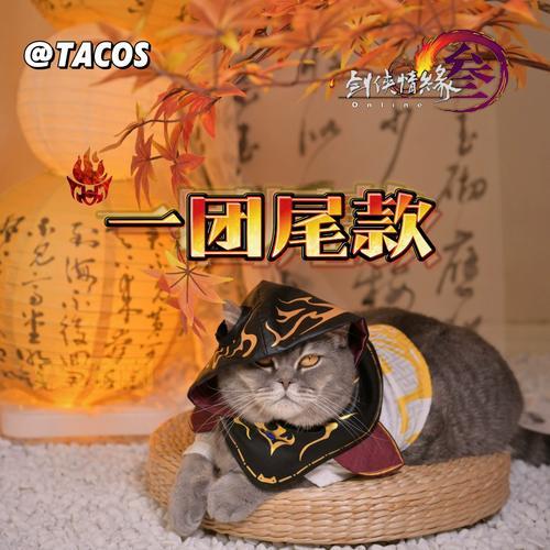 丐帮跟宠任务详解:触发条件、流程与奖励一览