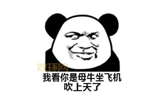 小母牛坐飞机是啥意思？网络流行语大揭秘！