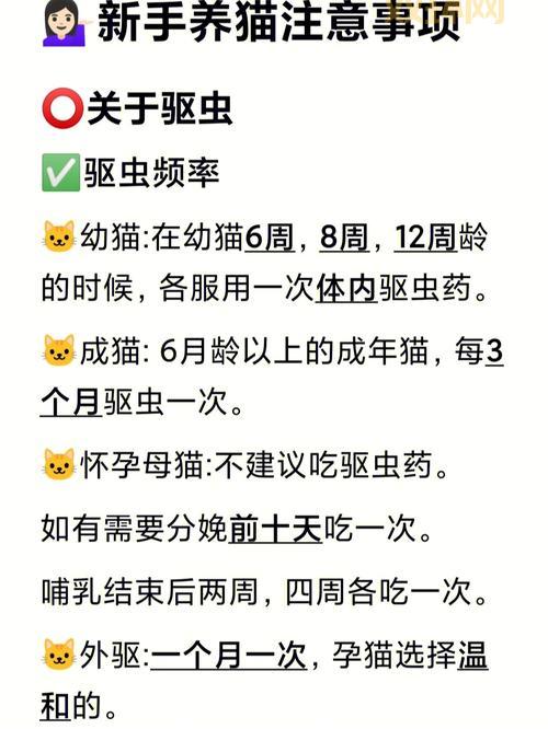 想买星星的猫？先看看这篇购买指南！