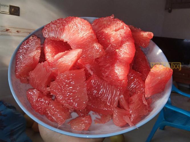 一刻柚子好用吗?真实用户体验分享给你参考!