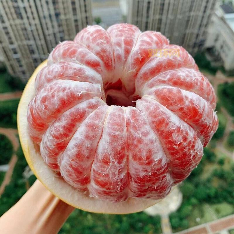 一刻柚子好用吗？真实用户体验分享给你参考！