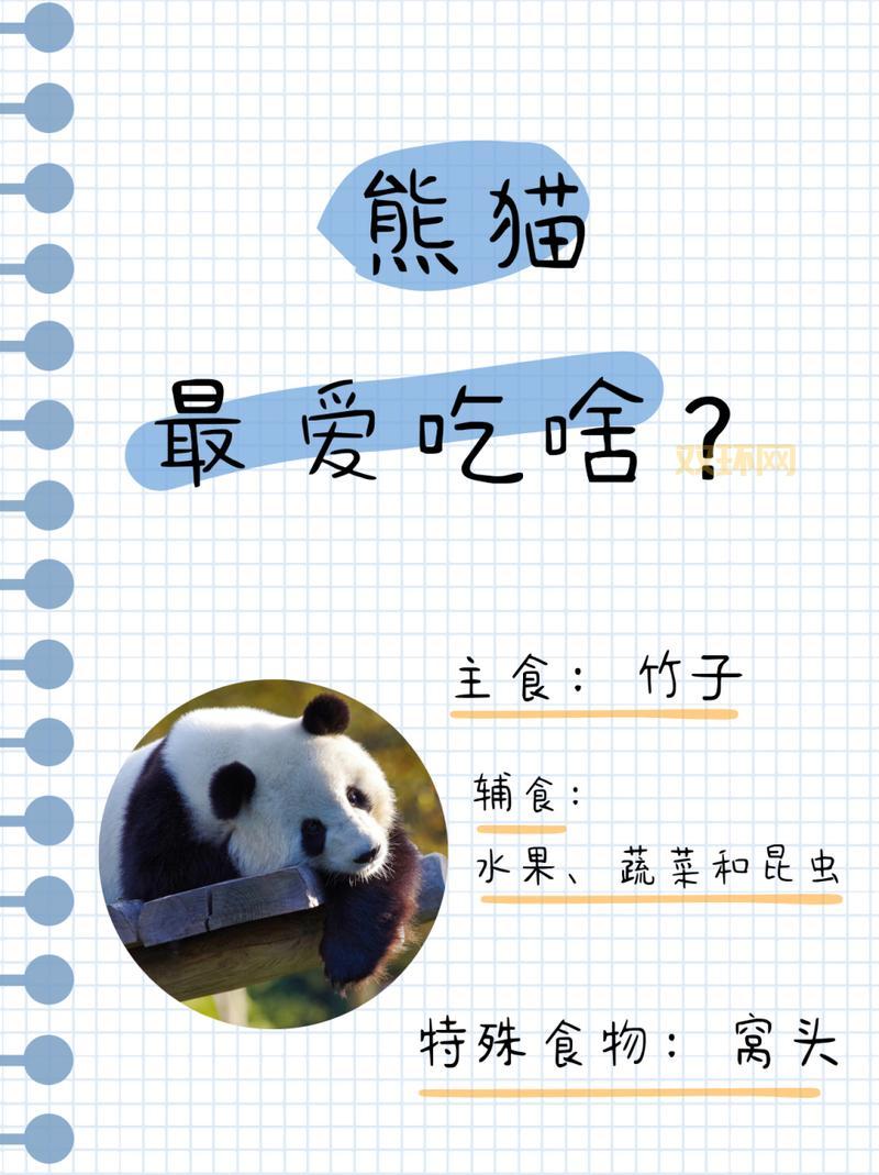 大熊猫爱吃的竹子是什么？饲养员最常用哪几种？