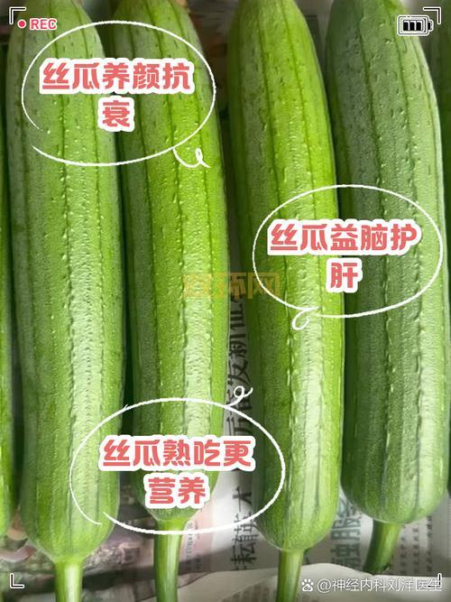 丝瓜绿巨人蕾丝秋葵能一起吃吗？营养师告诉你答案！