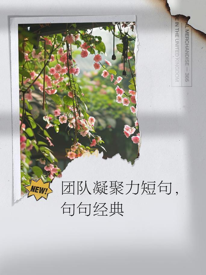 什么是家族凝聚力?一族的团结就是最好的答案!