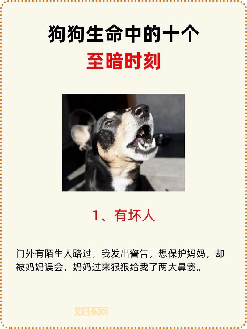 想知道脸盆网是啥？这篇文章给你答案！