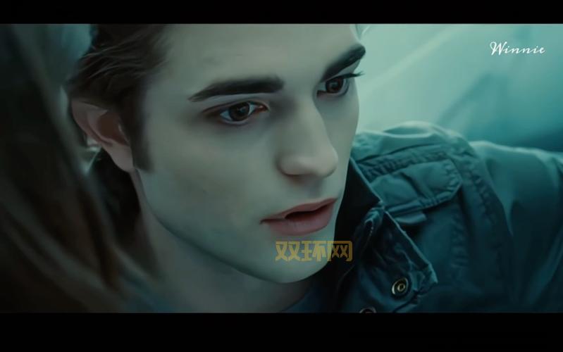 暮光传奇到底讲了啥？这个故事也太好看了吧！