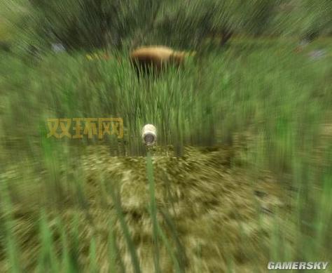 3d打猎2010玩不了怎么回事？手把手教你排查！