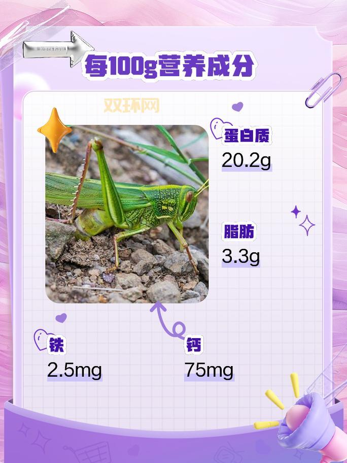 叶孔目：这种生物你可能从来没听说过！