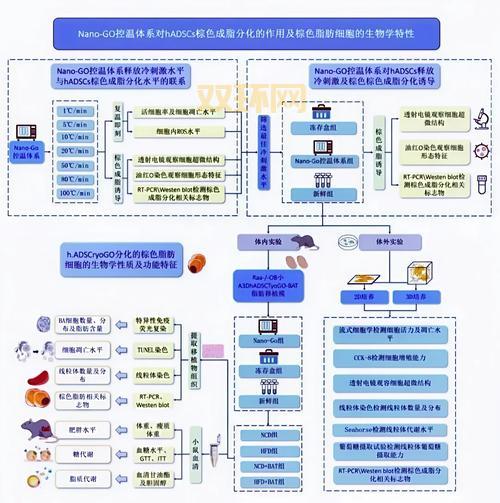 潘多拉之星跑法哪种最快？高手玩家分享的高效路线图。
