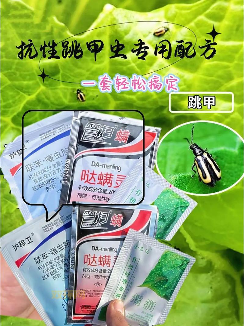 植物大战甲虫打不过怎么办？试试这几招轻松克制甲虫！