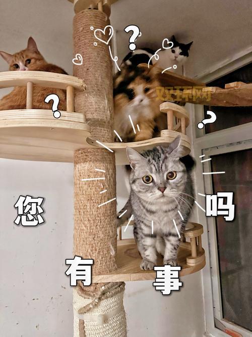 喵星人大战攻略怎么玩？老玩家教你轻松过关！