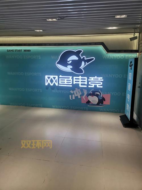 网吧媒体推广效果好吗?看看目标用户就知道价值!