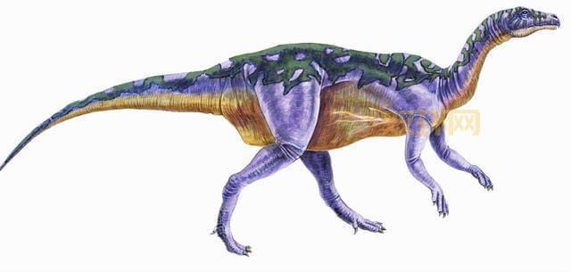 乌达斯塔掉落坐骑怎么刷？老玩家教你快速入手恐龙！